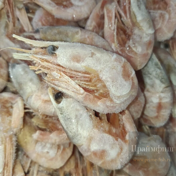 Креветка дикая "Северная", 500 г