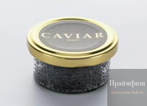 черная икра Caviar