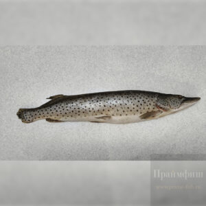 Щука, свежемороженая, 1 кг