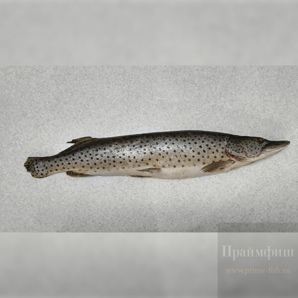 Щука, свежемороженая, 1 кг